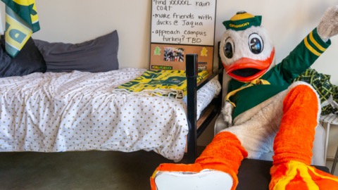 Oregon Duck sitting on a chair at the foot of a bed in a student dorm room